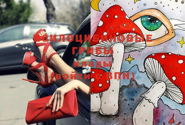 дурь Навашино
