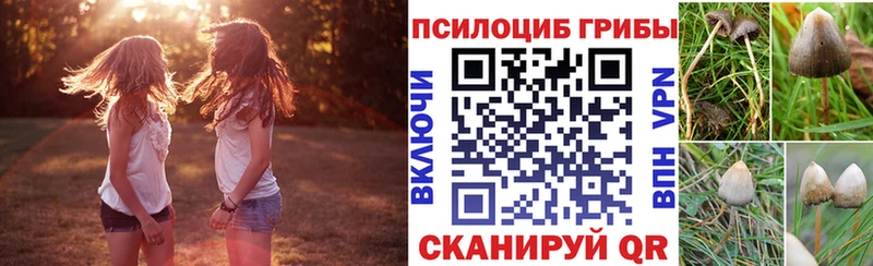 Псилоцибиновые грибы прущие грибы  сайты даркнета телеграм  Абакан  ссылка на мегу маркетплейс 