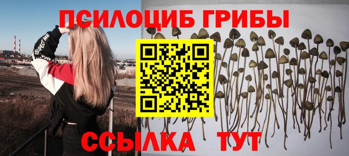 Галлюциногенные грибы GOLDEN TEACHER  Абакан 