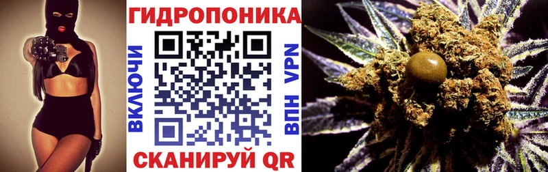 цены   Абакан  Бошки марихуана сатива 