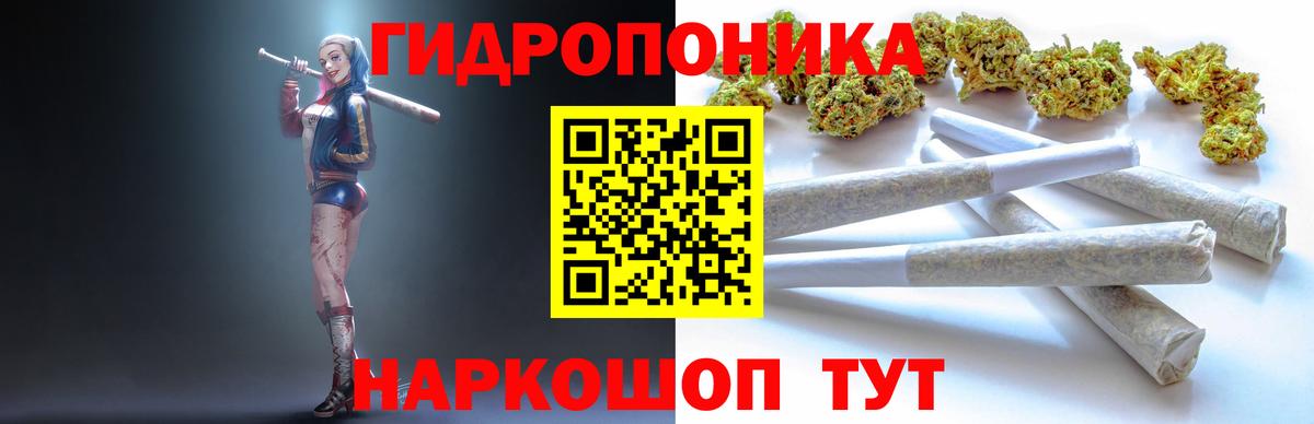 Бошки марихуана план  Бошки Шишки Bruce Banner  Абакан  Шишки марихуана THC 21% 